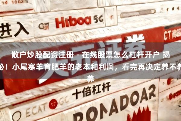 散户炒股配资注册 - 在线股票怎么杠杆开户 揭秘！小尾寒羊育肥羊的老本和利润，看完再决定养不养