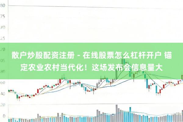 散户炒股配资注册 - 在线股票怎么杠杆开户 锚定农业农村当代化！这场发布会信息量大